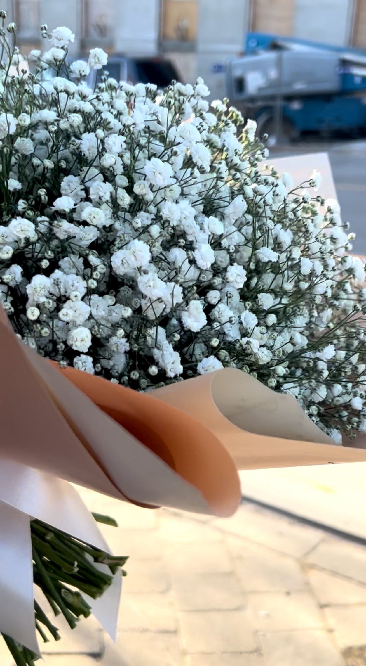 A bouquet of baby's breath flowers wrapped with a beige ribbon.