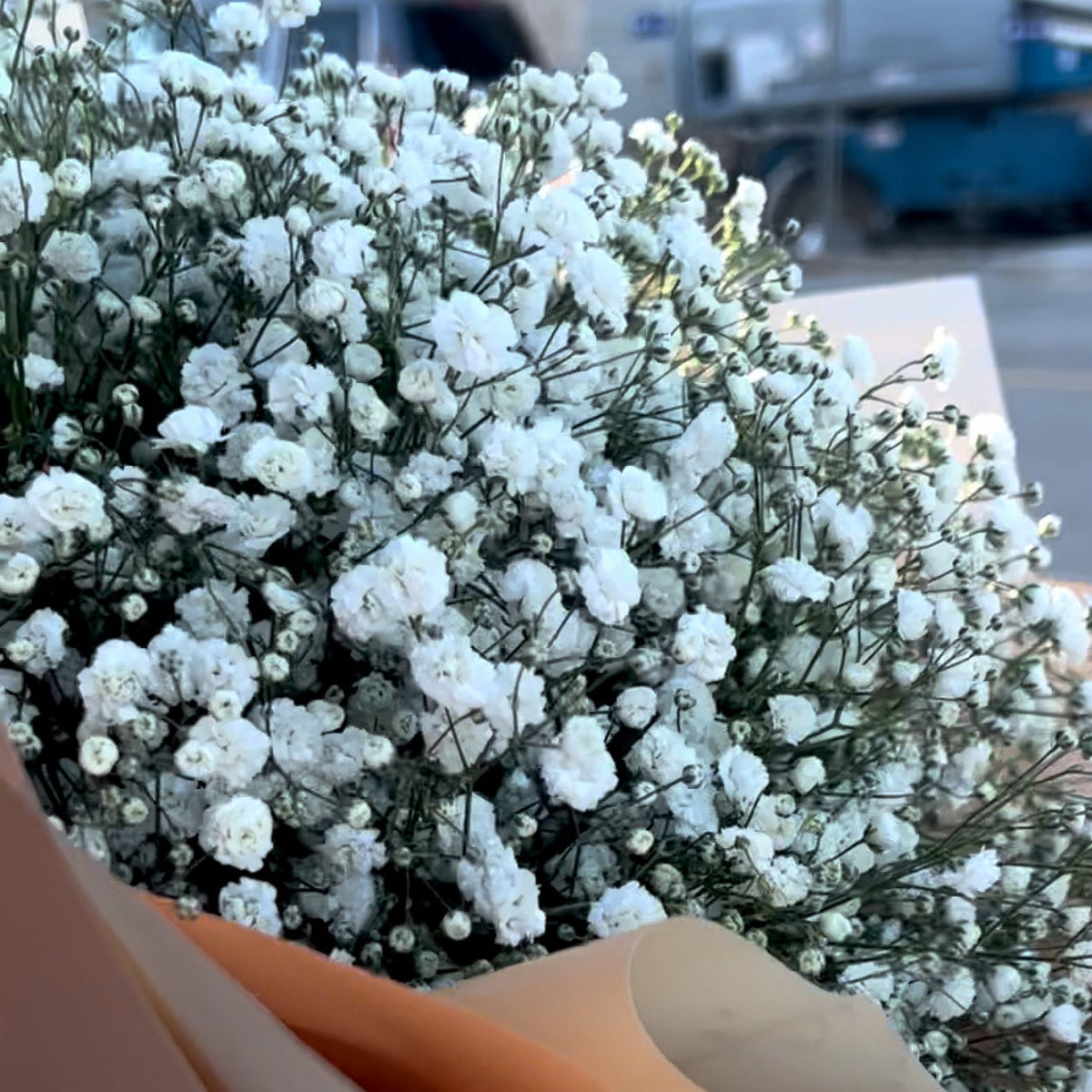 A bouquet of baby's breath flowers wrapped with a beige ribbon.