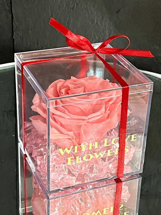 Single Eternal Rose